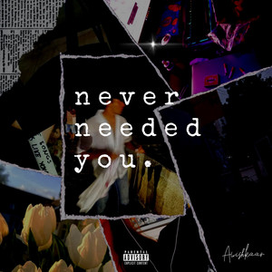 Never Needed You (Explicit)