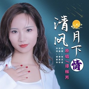 清风月下情 (伴奏)