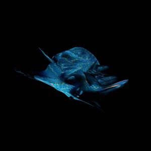 kontaare (feat. Fausto Mercier)