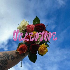 Distracted - Valentine