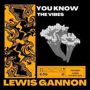 You Know The Vibes (Explicit)