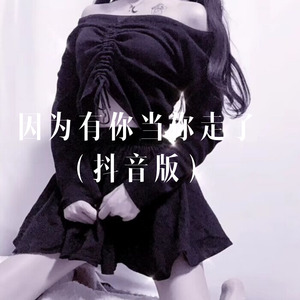 词不达意 (Remix)