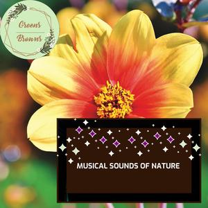 Musical Sounds of Nature