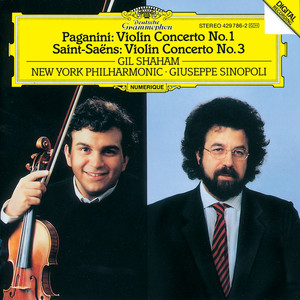 Violin Concerto No. 1 in D, Op. 6 - 2. Adagio