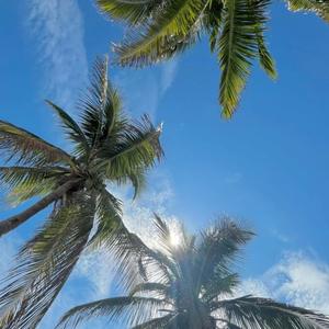 wiredearbuds. (feat. awaitedfate) (Explicit)