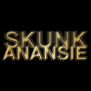 Weak (Paul Woolford Remix Edit)