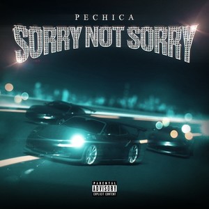 Sorry Not Sorry (Explicit)