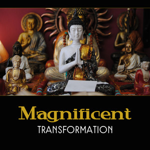 Magnificent Transformation