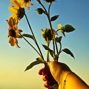 Insects (feat. Zamaxx & Prod.Primo) (Explicit)