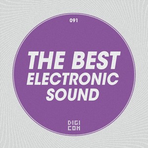 The Best Electronic Sound, Vol. 13