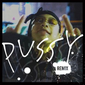 Pussy (feat. Jin Dogg, MonyHorse, Shurkn Pap & A-THUG) [Remix] [Explicit]