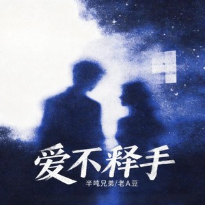 爱不释手 (烟嗓版)封面