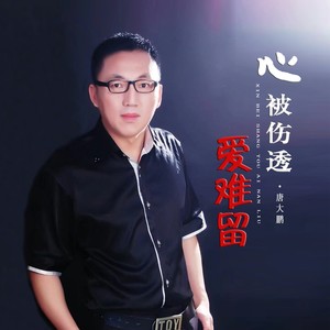 心被伤透爱难留 (DJ默涵版)