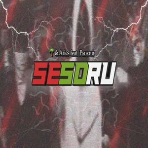 SeSoRu (Explicit)