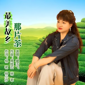 毽子飞 - 最美故乡那片茶 (伴奏)