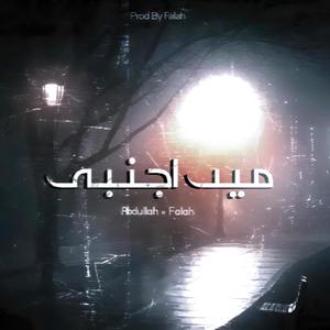Mai Ajnabi (feat. Falah Khan) [Explicit]