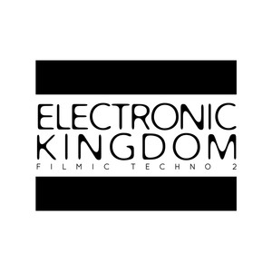 Electronic Kingdom II