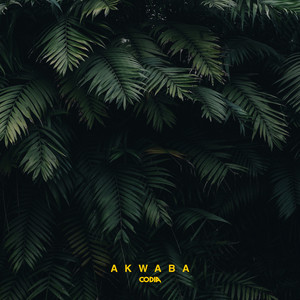 Akwaba (Instrumental Version)