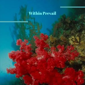 Within Prevail