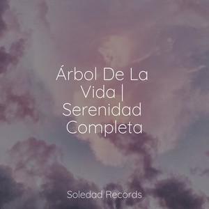 Árbol De La Vida | Serenidad Completa