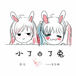 小了白了兔封面
