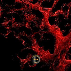 My Baby (feat. Amaya Odilon Kosso ∆∞Ο & TopboyMurrata) (Explicit)