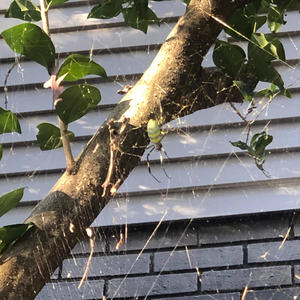 Keep it Going (Explicit)