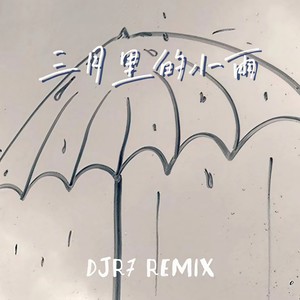 三月里的小雨 (DJR7)封面
