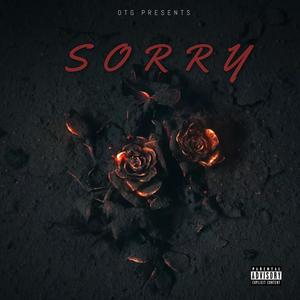 Sorry (feat. Sunnik, STiCK & Huncho Carter) [Explicit]