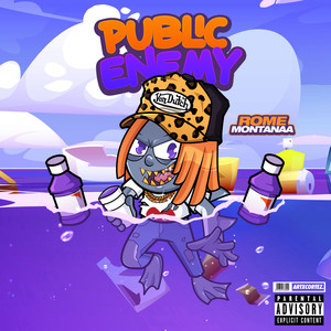 Public Enemy (Explicit)