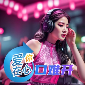 爱你在心口难开 (Remix|DJ版)