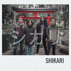 Shikari