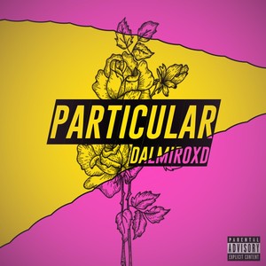 Particular (Explicit)