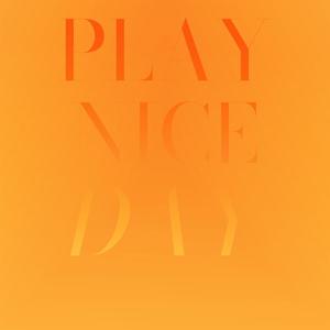 Play Nice Day
