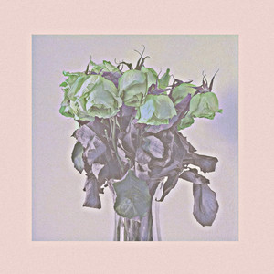 Flowers Die