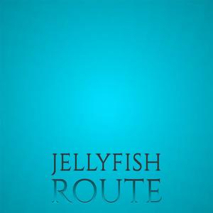 Jellyfish Route