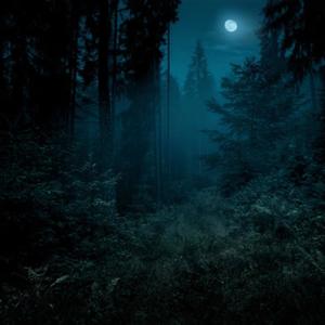 **** a savage (feat. Sce rj) (Explicit)