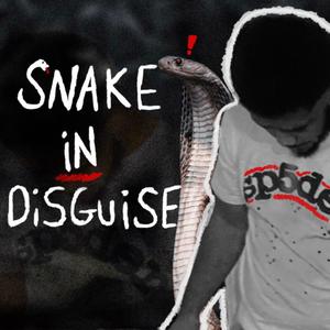 Snake In Disguise (Explicit)