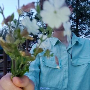 Brednie (feat. MixedByThor) (Explicit)