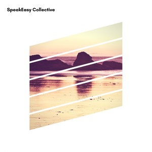 SpeakEasy Collective