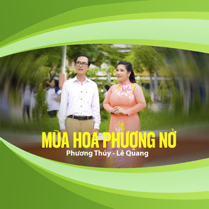 Mùa Hoa Phượng Nở