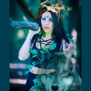 THE VOICE OF FREEDOM