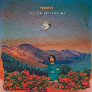 d.o.g i.n t.h.e p.o.u.r.i.n.g r.a.i.n (Explicit)