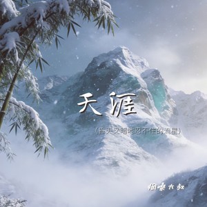 天涯(昏天又暗地忍不住的流星)-烟嗓大叔
