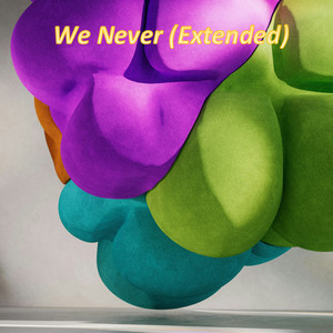 We Never (Extended)