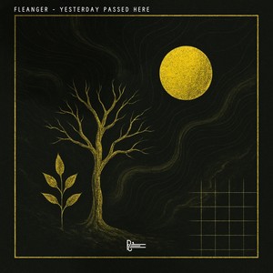 Yesterday Passed Here