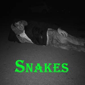 Snakes (Explicit)