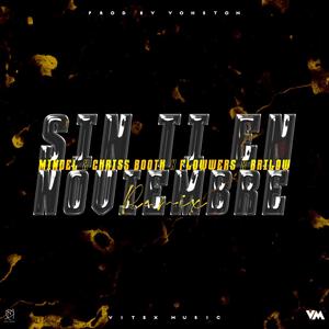 Sin Ti En Noviembre (feat. Chriss Booth, Flowwers & Brilow) (Remix)