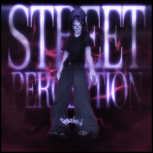 STREET PERCEPTION (Explicit)