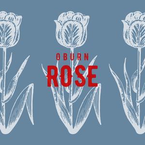 Rose (Radio Edit)